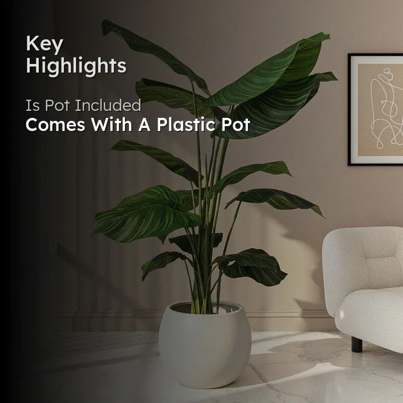 Verona Artificial Banana Plant With Black Plastic Pot - 4 Feet media 2