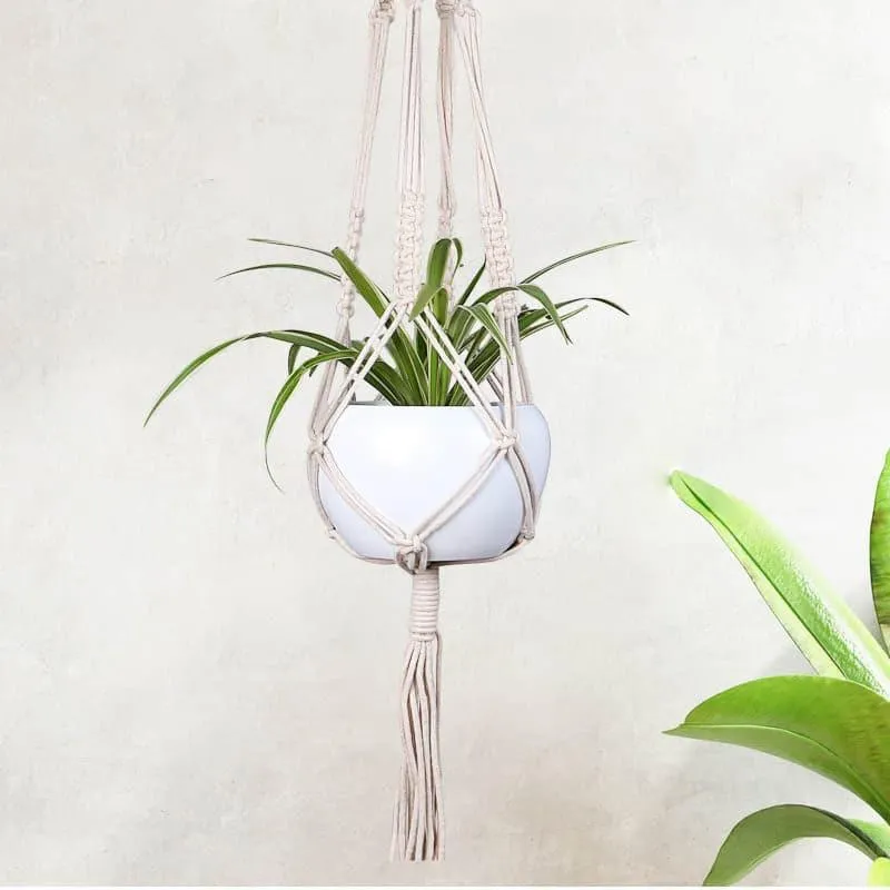 Aylin Macrame Plant Hanger - Set Of Two media 1