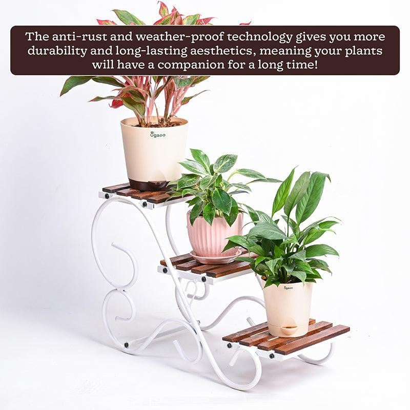 Bramble Perch Three Tier Metal Plant Stand - White & Brown media 6