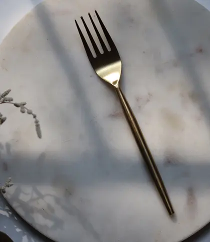 Stainless Steel