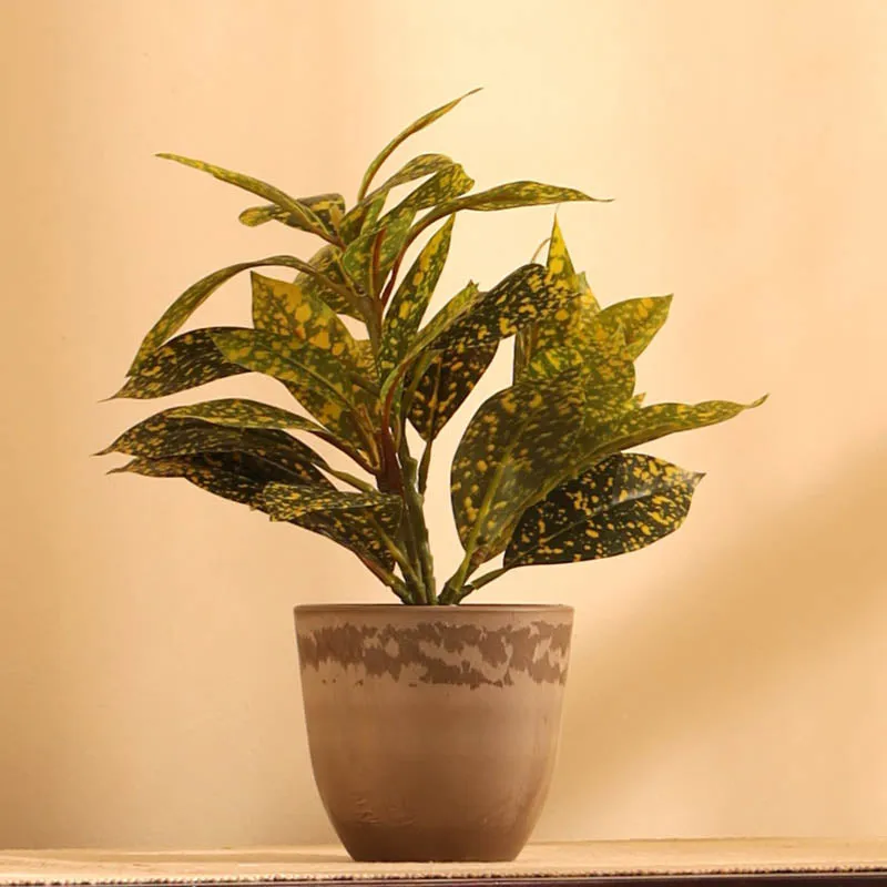 Artificial Croton Plant With Black Plastic Pot (Set Of Two) - 1 Feet media 4