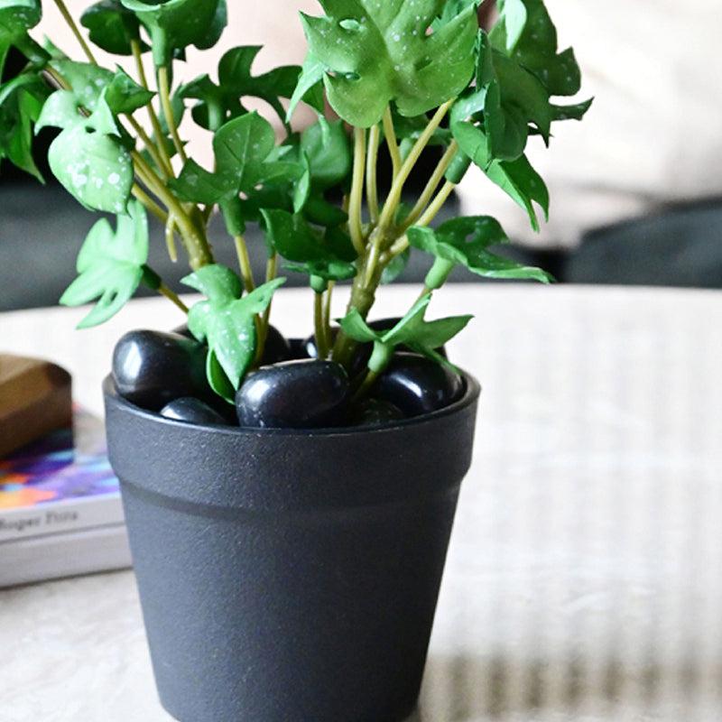 Minstera Artificial Mini Monstera Plant With Black Plastic Pot (Green) - 16 cm media 4