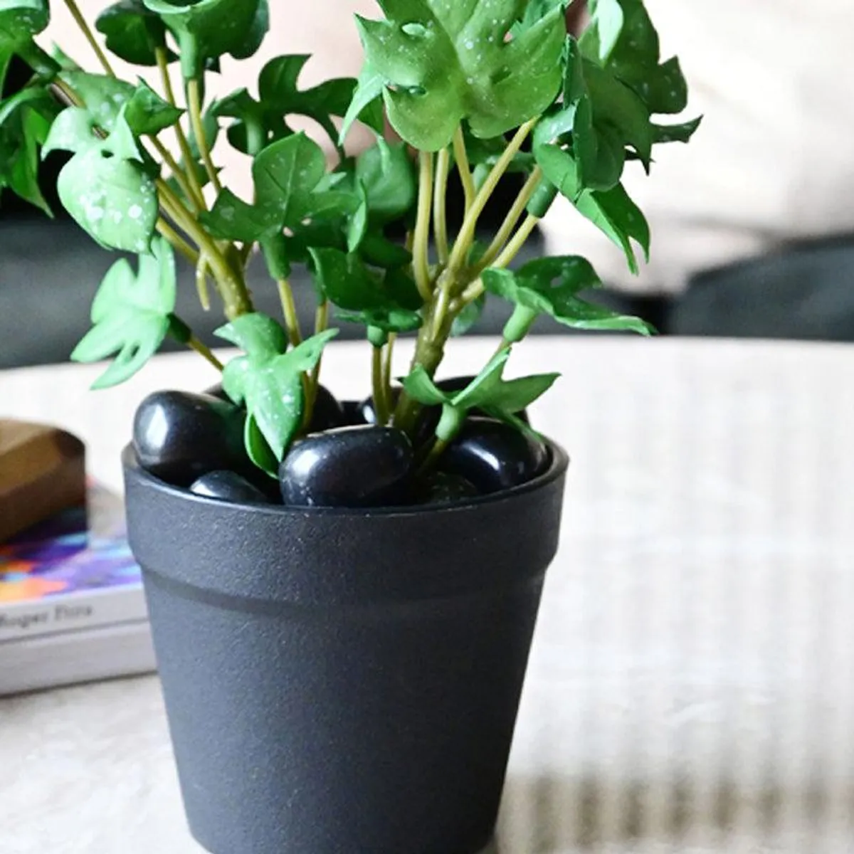 Close-up of green artificial monstera leaves and black plastic pot