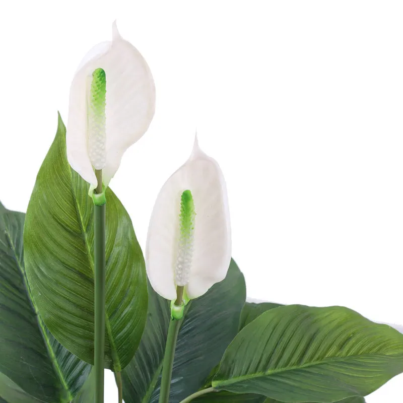 Artificial Realistic Peace Lily Plant With Black Plastic Pot - 2.5 Feet media 4