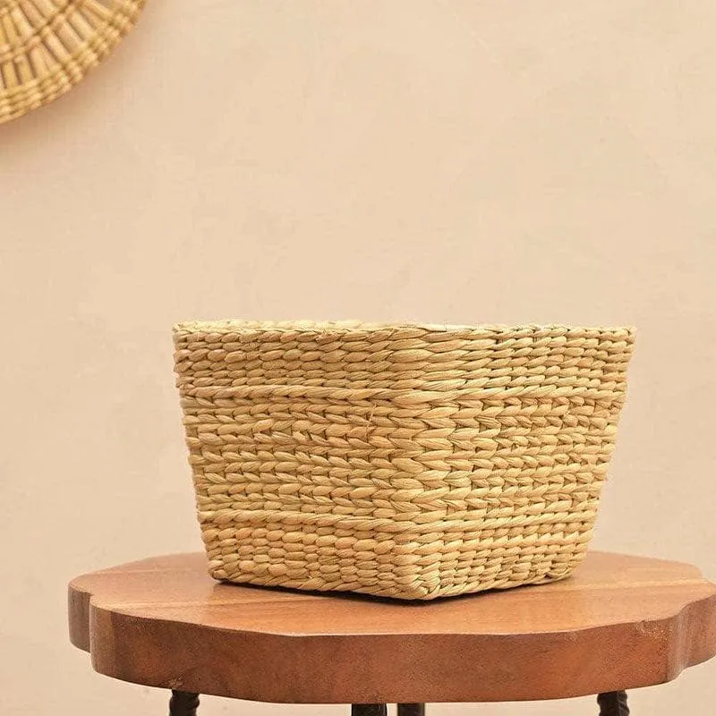 Ugaoo Seagrass Seagrass Planter - 21 CM media 6
