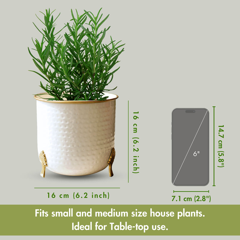 Hallo Metal Hammered Planter media 4