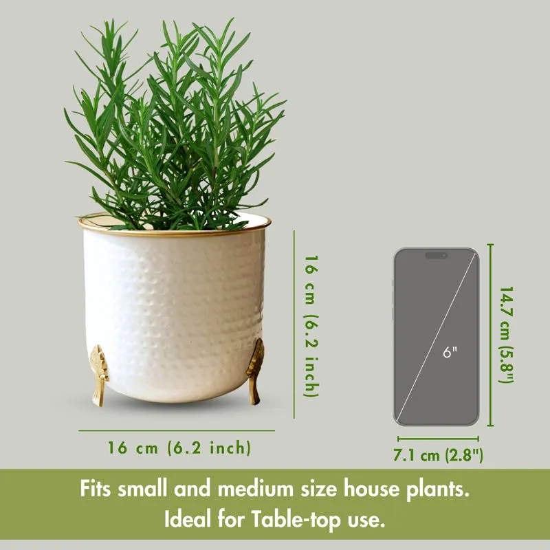 Hallo Metal Hammered Planter media 4