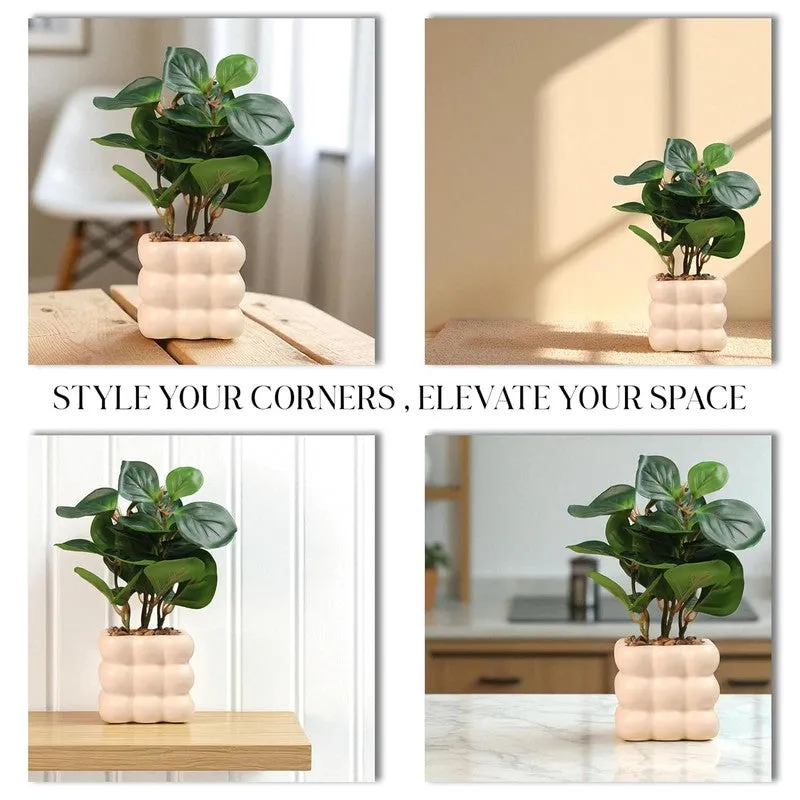 Ivory Bubble Vase with plant media 7