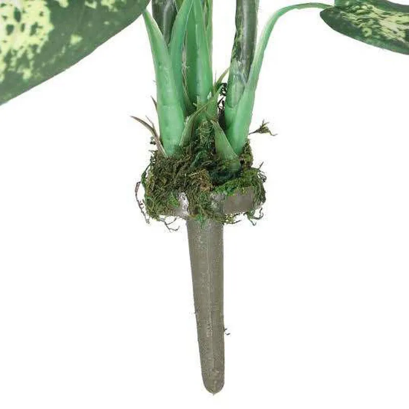 Verdant Touch Dieffenbachia Artificial Plant Without Pot - 1.9 Feet media 5
