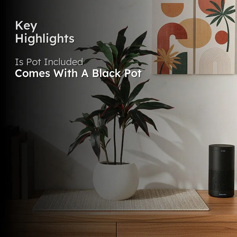 Artificial dracaena plant with black pot shown in a room setting