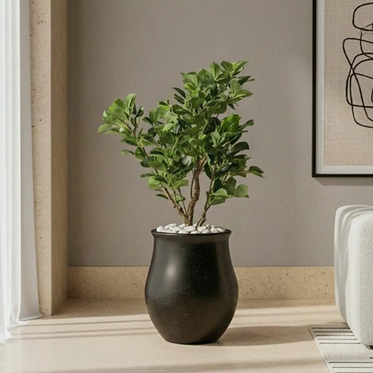 Black rounded planter holding a leafy plant against a neutral wall