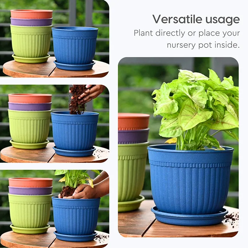 Vita Vessel Planter - Set Of Six media 7