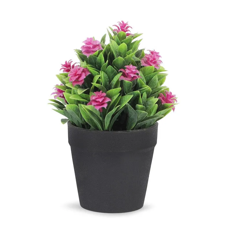 Ethnora Artificial Plant With Plastic Pot(Set of Two) - 0.6 Feet media 5