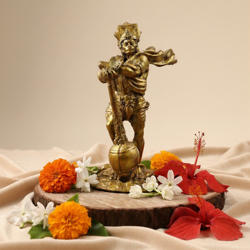 Lord Hanuman Divine Bronze Idol media 4