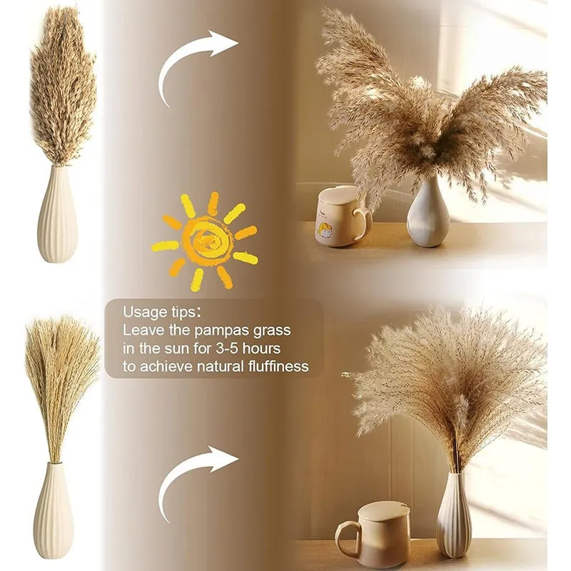 Bloom Theory Dried Flower Stems - Set of Hundred media 4