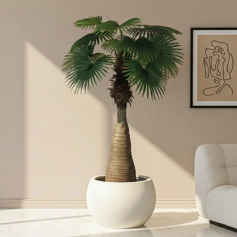 Faux Lush Bottle Fan Palm Plant With Black Plastic Pot - 6 Feet media 1