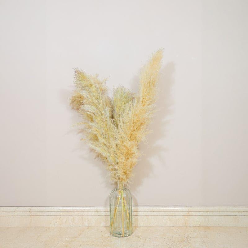Pomi Naturally Dried Pampas Stick (Cream) - Set Of Five media 4