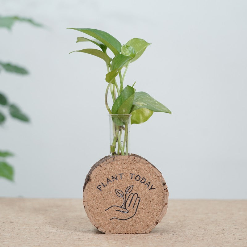 LeafLoom Modern Planter - Two Piece Set media 5
