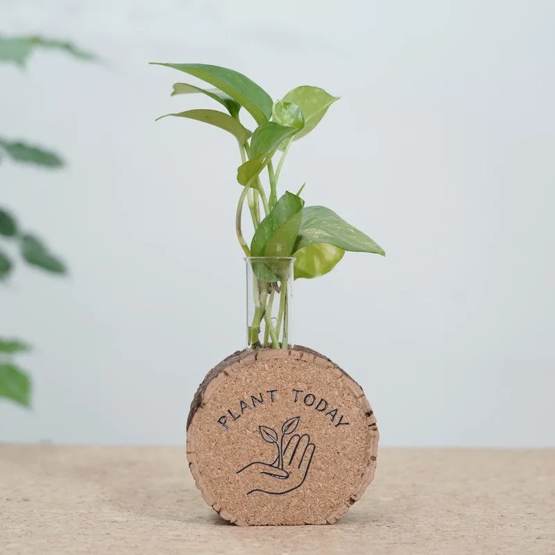 LeafLoom Modern Planter - Two Piece Set media 5