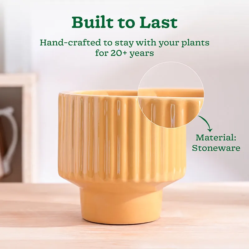 Ugaoo Classic Stria Ceramic Planter - Yellow media 3