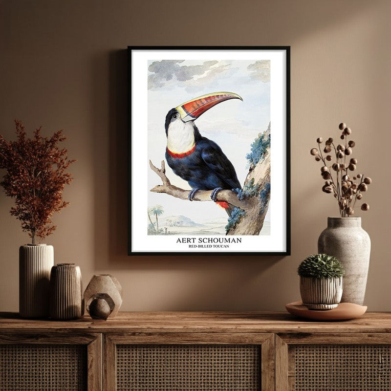 Red Billed Toucan Aert Schouman Archival Canvas Wall Painting - Black Frame