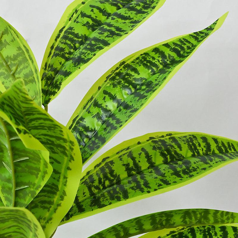 Faux Everlasting Snake Plant With Black Plastic Pot - 71 cm (2.3 ft) media 4