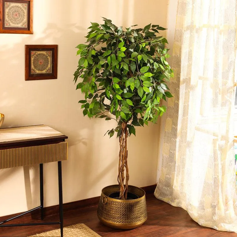 Artificial Realistic Ficus Plant With Black Plastic Pot - 5.9 Feet media 3