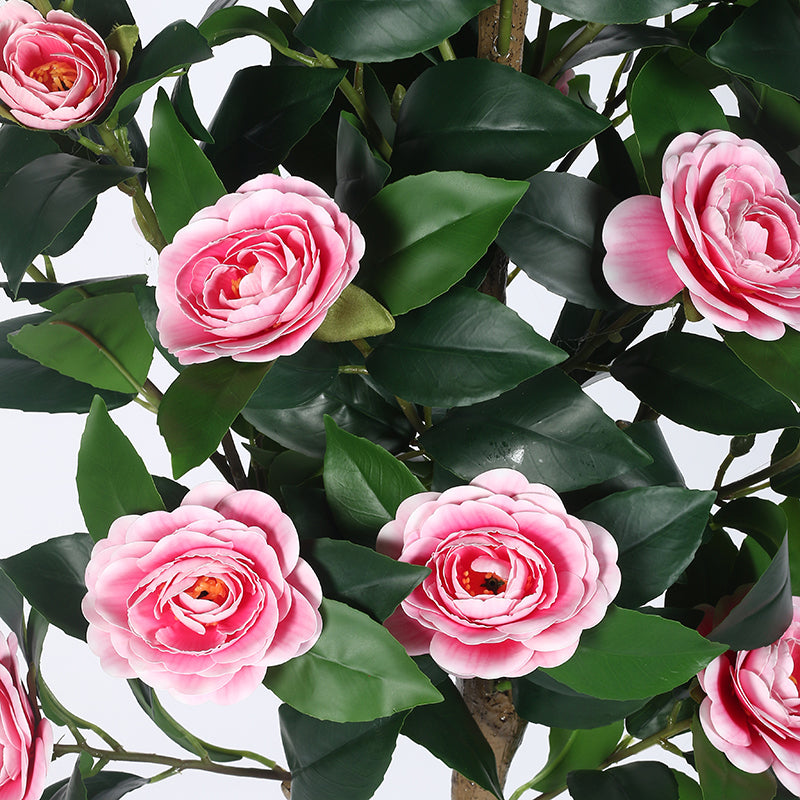 Calmyra Artificial Camellia Plant With Black Plastic Pot - 5 Feet media 6