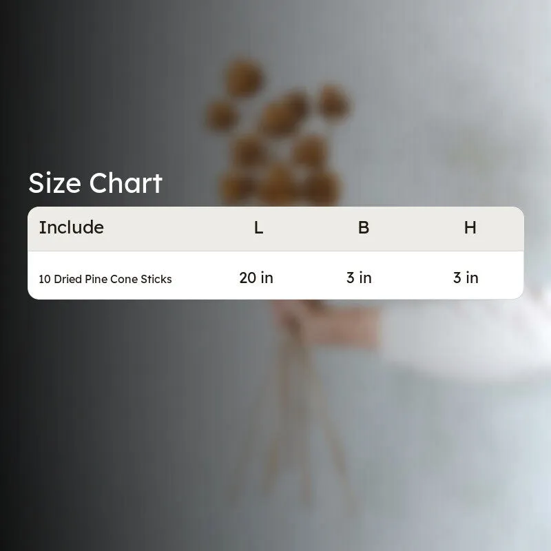 Enoira Dried Pine Cone Stick (Gold) -Set Of Ten media 6