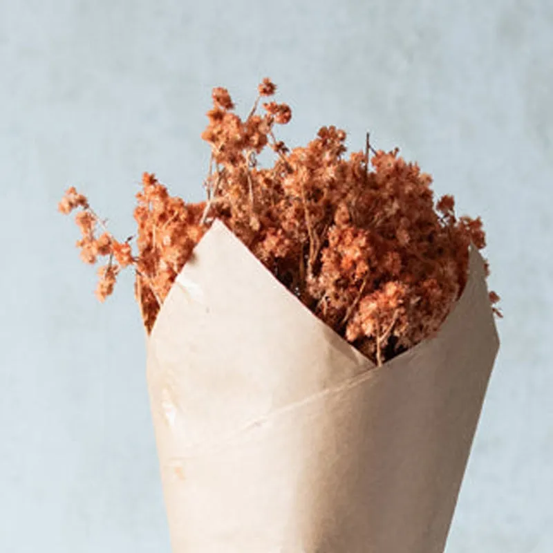 Gypso Glam Dried Flower Bunch - Honey media 5