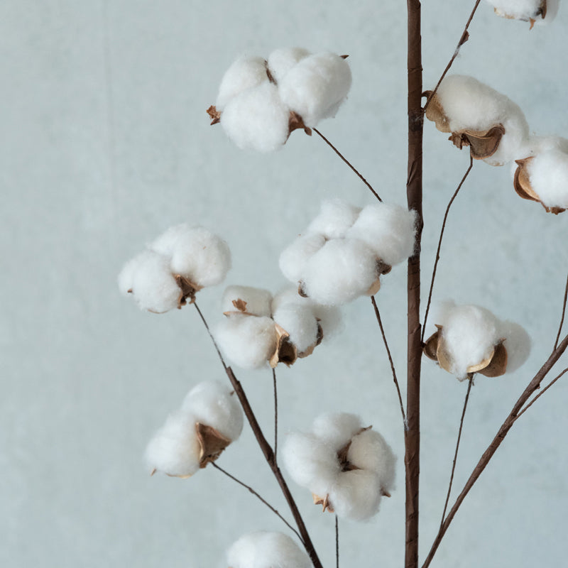 Yenola Naturally Dried Cotton Stick - Set Of Five media 5