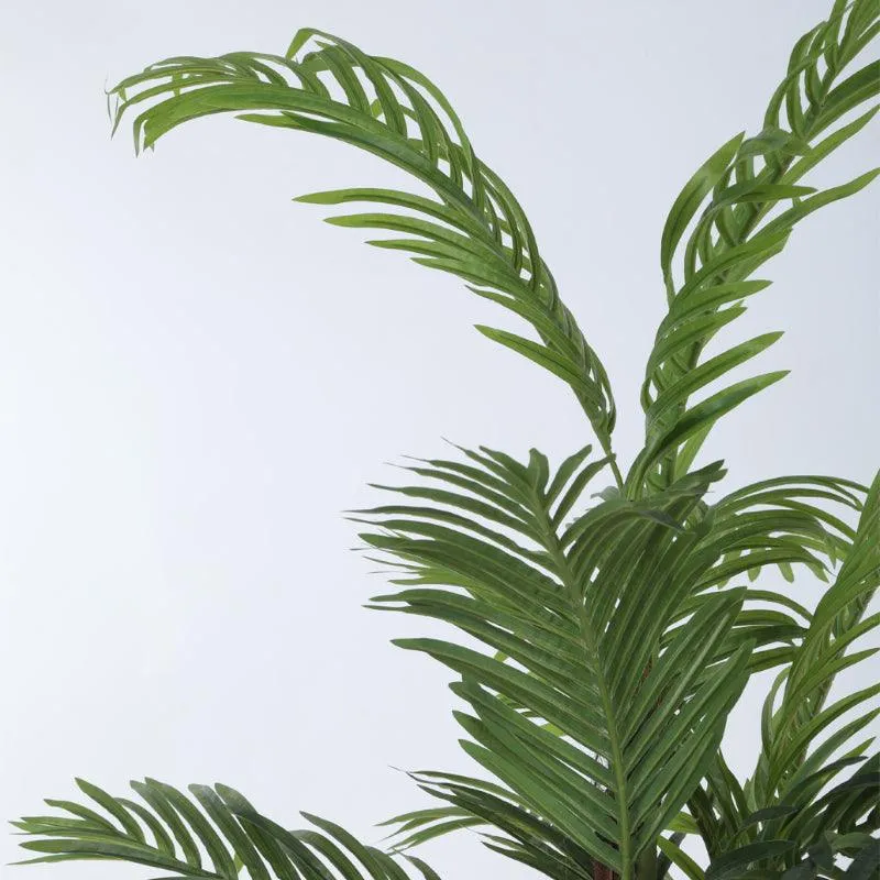 Faux Long Butterfly Palm Plant With Black Plastic Pot - 4.92 ft media 5
