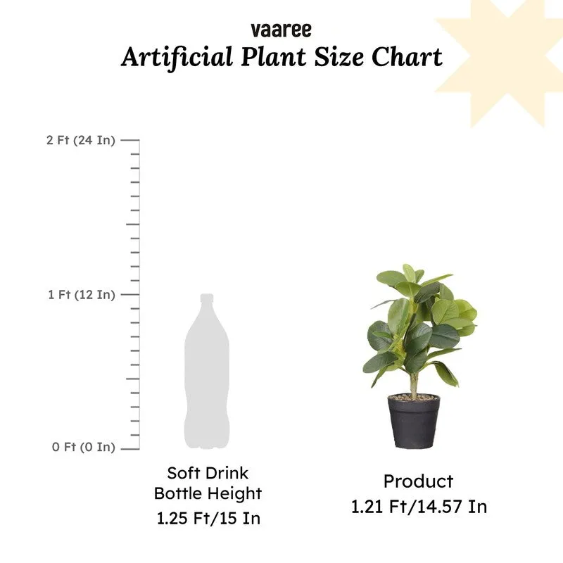 Artificial Green Natural Lookingquercus Leaf Plant With Black Fiber Pot - 1.2 Feet media 7