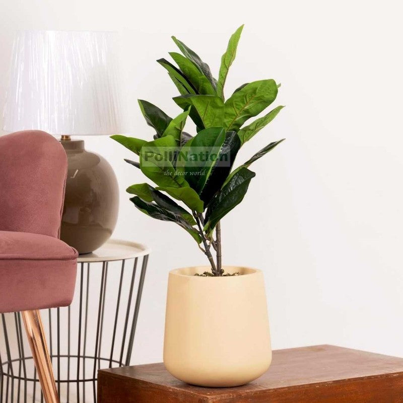 Artificial Small Rubber Plant Without Pot - 2.2 Feet