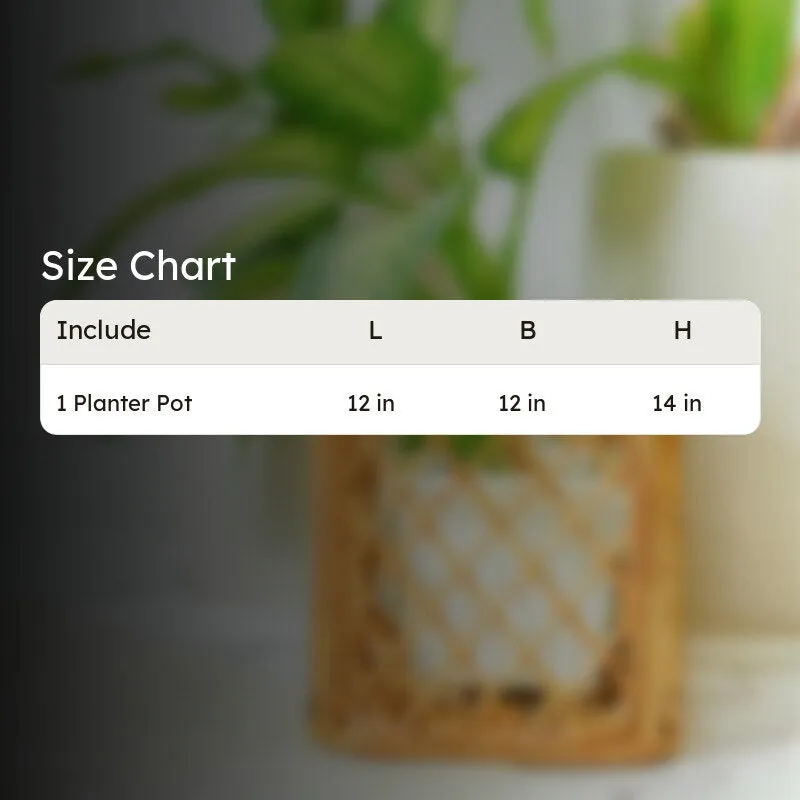 Arvo Handmade Rattan Planter media 9