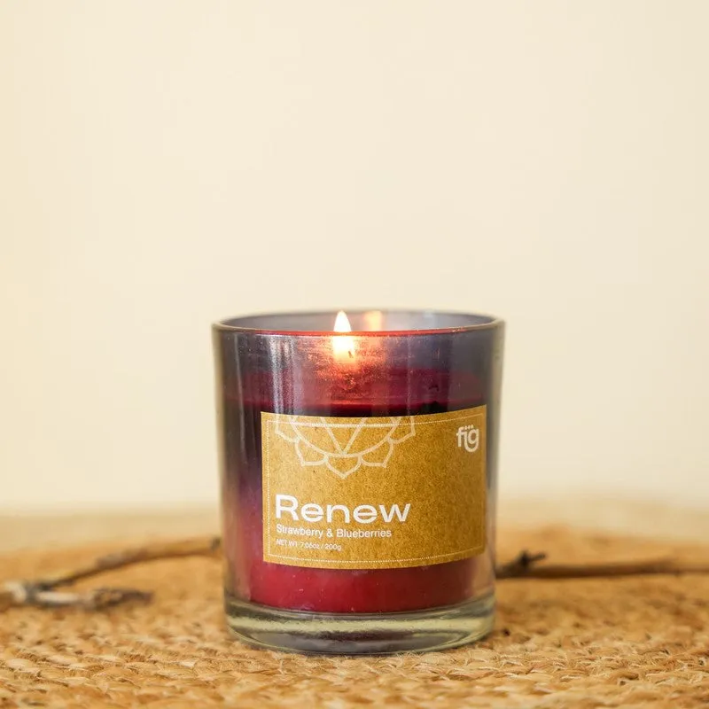 Fig Living Renew Berries Palm Wax Scented Candle media 5