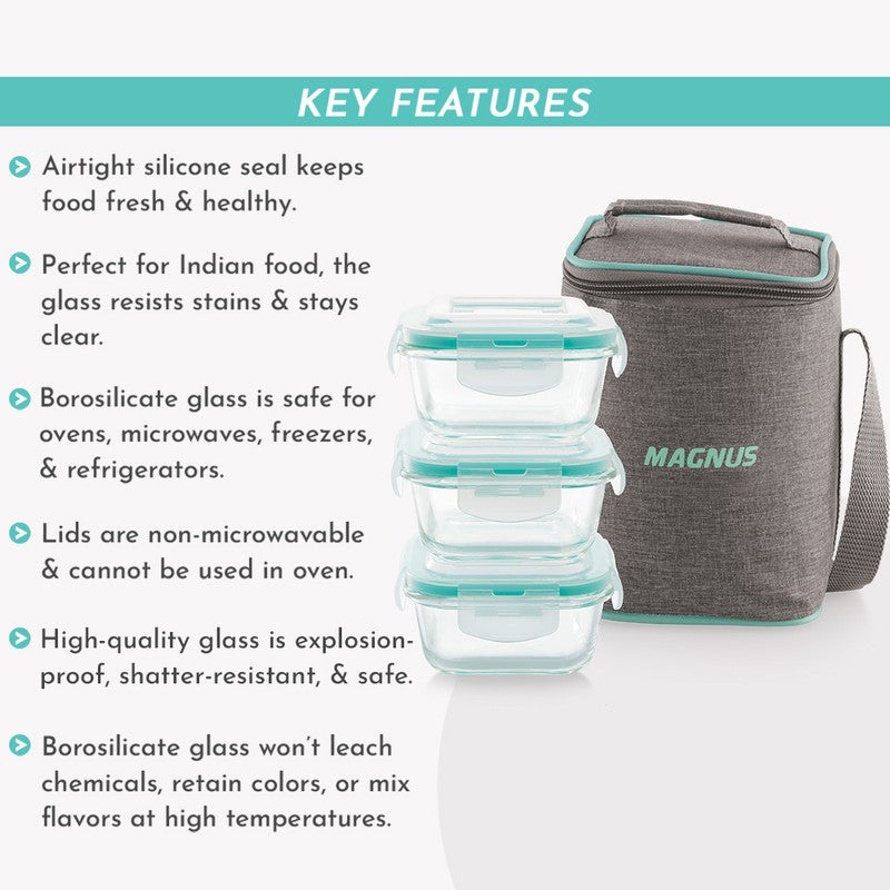 Packly Simple Lunch Box with Lunch Bag - Four Piece Set media 7