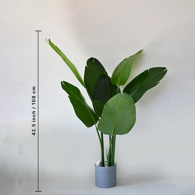 Faux Everlasting Bird of Paradise Plant With Black Plastic Pot - 108 cm (3.5 ft) media 5