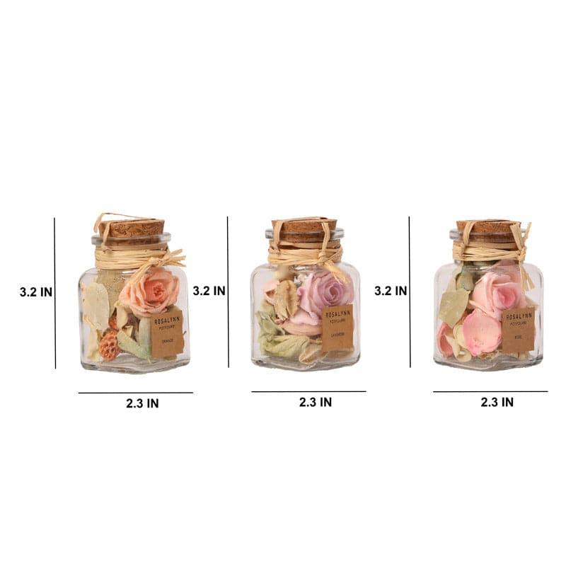 Konerie Potpourri With Glass Jar - Set Of Three media 5