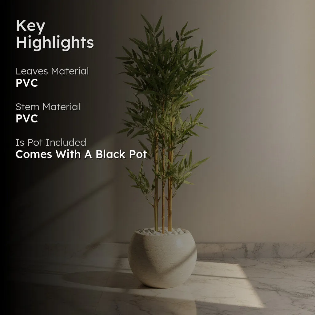 VerdaBloom Bamboo Plant With Black Fiber Pot - 3.9 Feet media 2