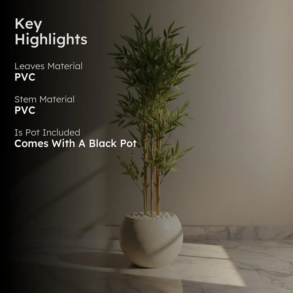 VerdaBloom Bamboo Plant With Black Fiber Pot - 3.9 Feet media 2
