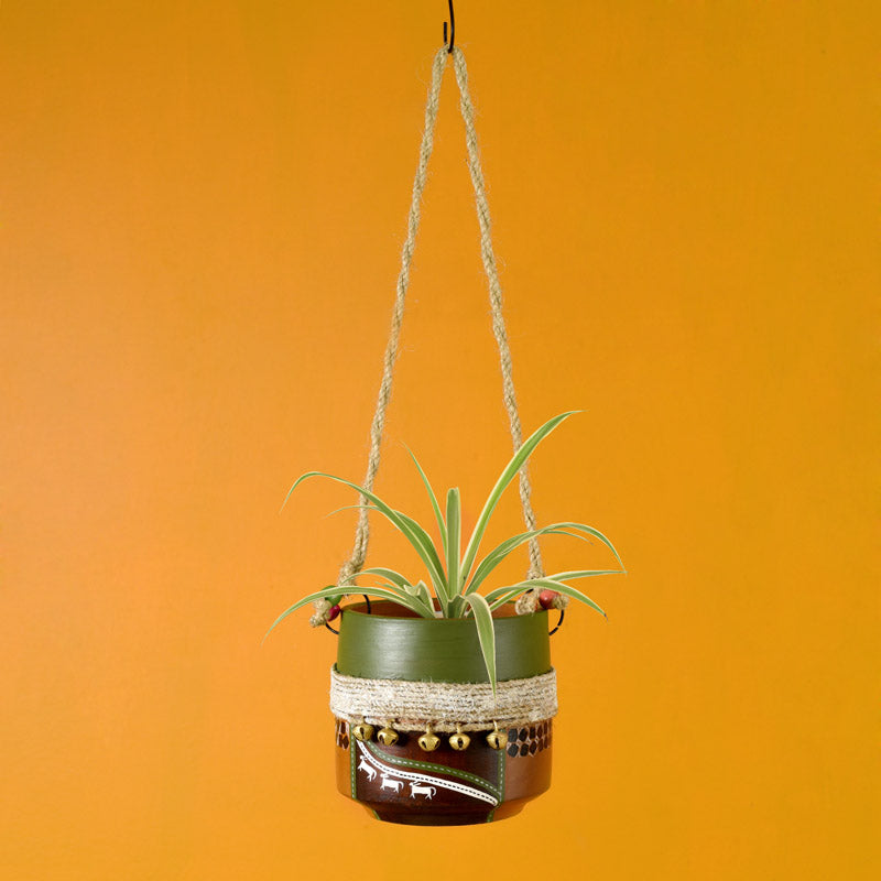 Zarna Hanging Planter media 6
