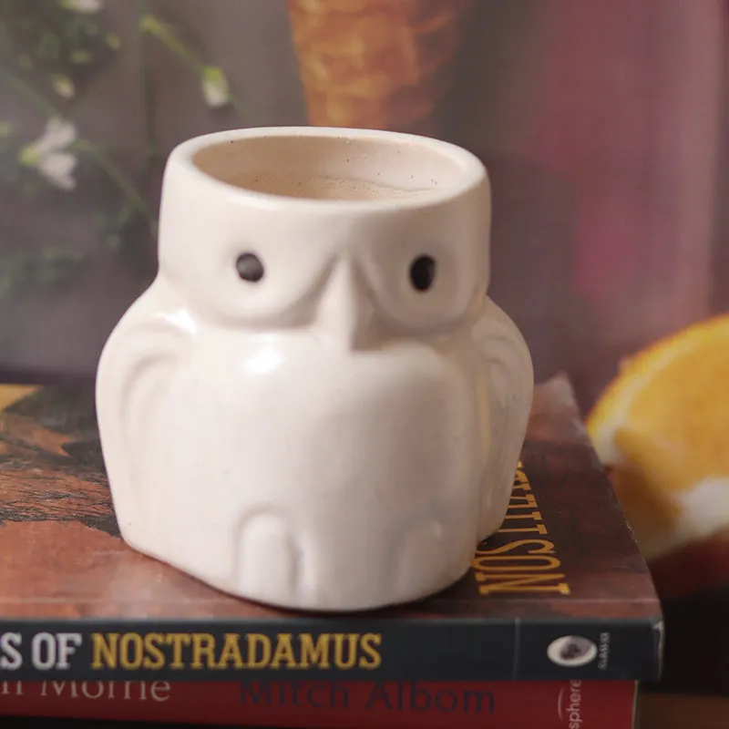 Wise Owl Ceramic Planter media 4