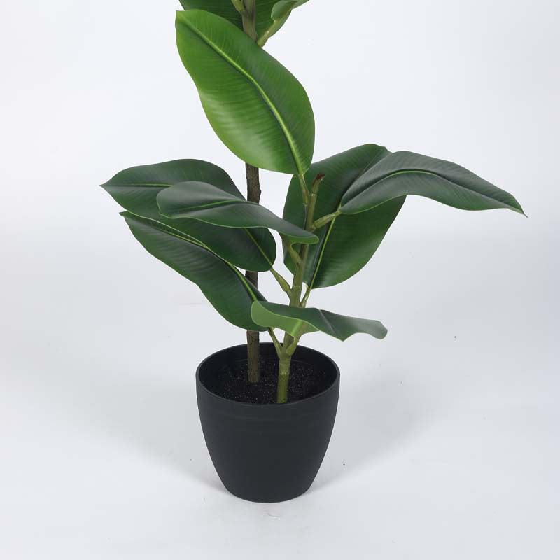 Faux Lush Rubber Plant With Black Plastic Pot - 4 Feet media 5