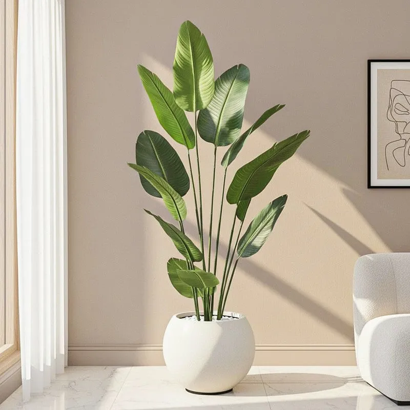 Virella Banana Leaf Palm Plant With Black Plastic Pot - 5.9 ft media 1