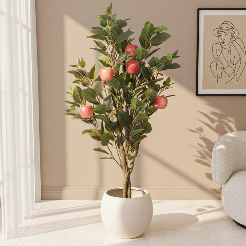 Apple Tree