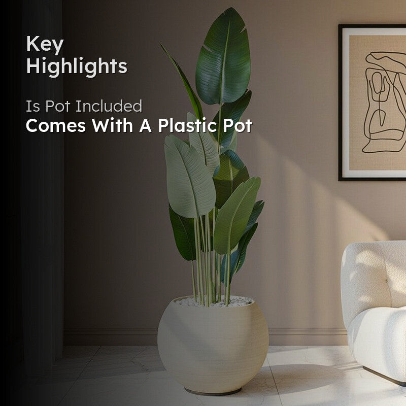 Artificial Banana Tree With Black Plastic Pot - 220 cm (7.2 ft) media 2