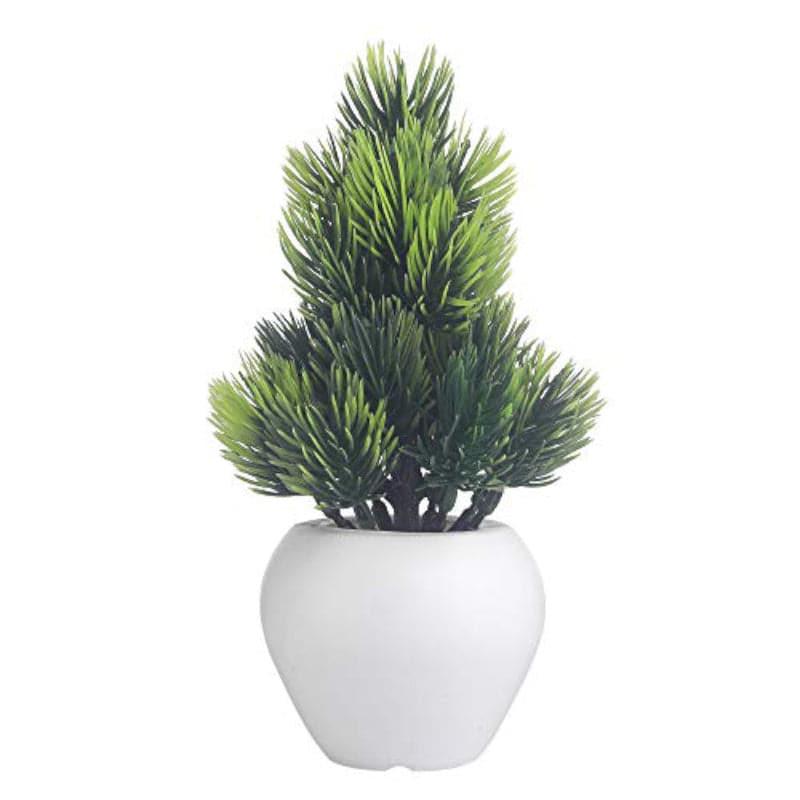 Veveri Faux Plant In Apple Pot - 15 cms media 3