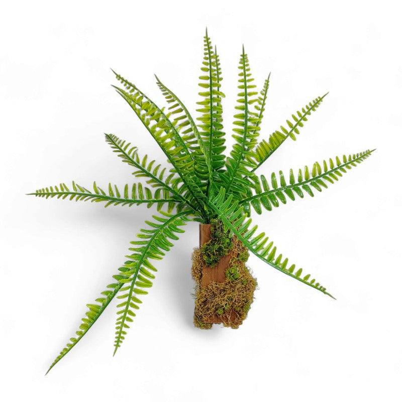 Elva Wall Mount Artificial Plants - 0.8 Feet media 6
