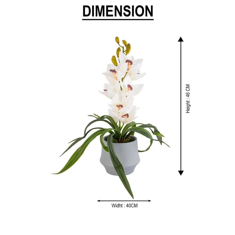AarviDecor Ivory Orchid Silk Artificial Plants media 9